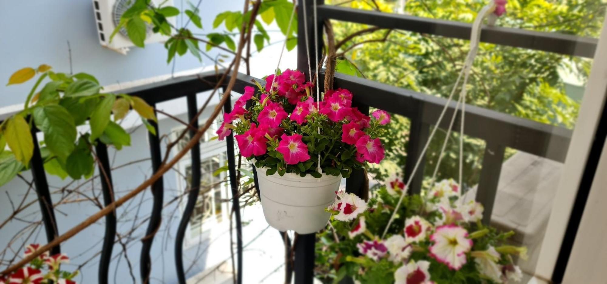 Spring Light Home Ho Şi Min Dış mekan fotoğraf